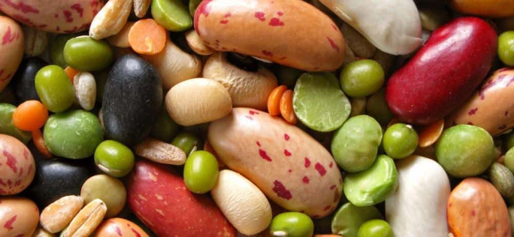 BEANS, BEANS, THEY’RE GOOD FOR YOUR HEART: PURE Executive Health & Wellness: Concierge Medicine